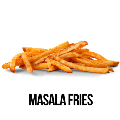 MASALA REG FRIES